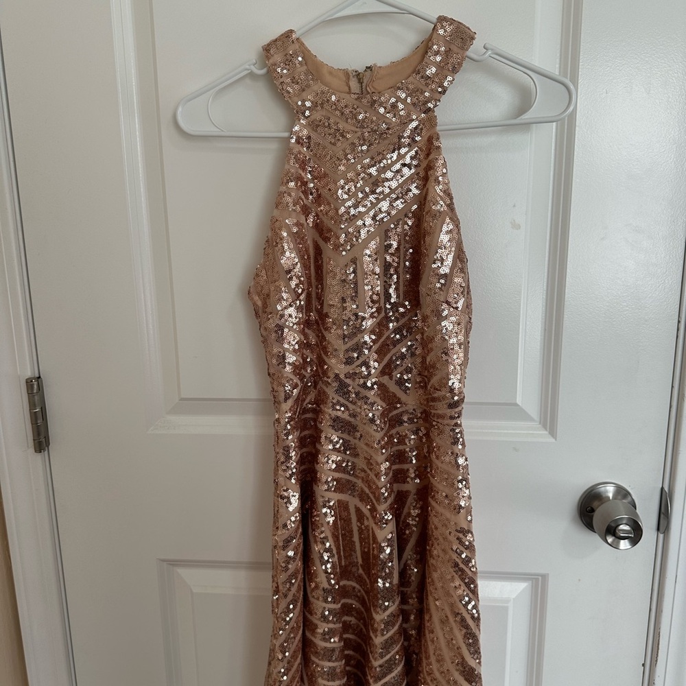 Windsor Rose Gold Dress